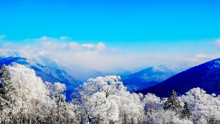 老白山原始生態(tài)風(fēng)景區(qū)的冬。