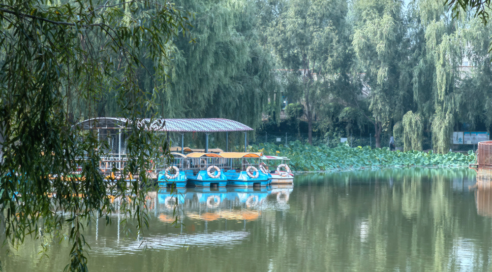 家門口的公園