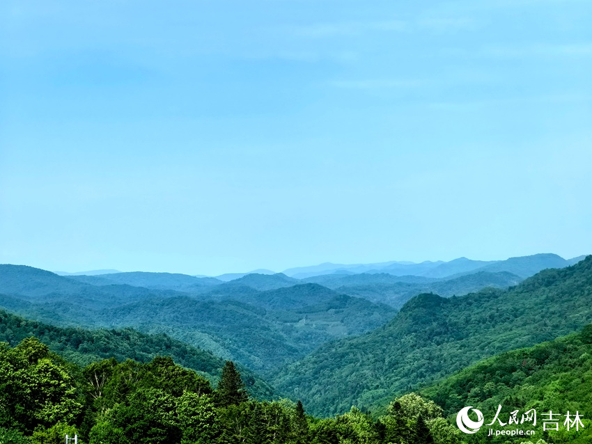 站在臨江市溪谷高山草原遠眺群山，層巒疊嶂。人民網記者 王海躍攝